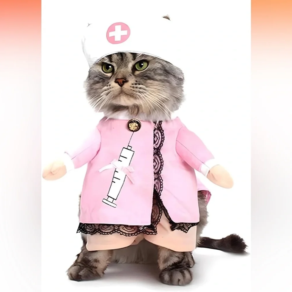 Cat Nurse Costume Size Medium
